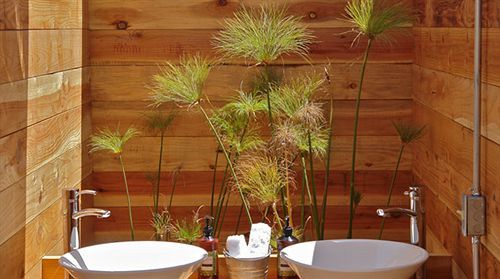 Cabanas Cuatrocuatros El Sauzal  Dış mekan fotoğraf